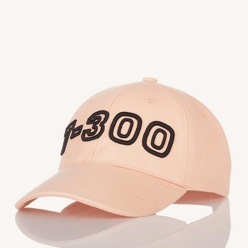 Basecap # T-300 